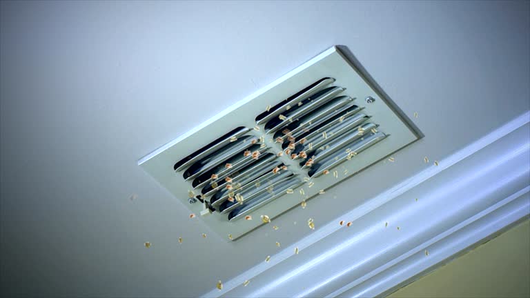 Best HVAC Air Duct Cleaning  in Fort Deposit, AL